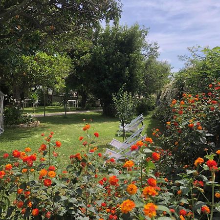 Villa Caterina B&B Прочида Экстерьер фото
