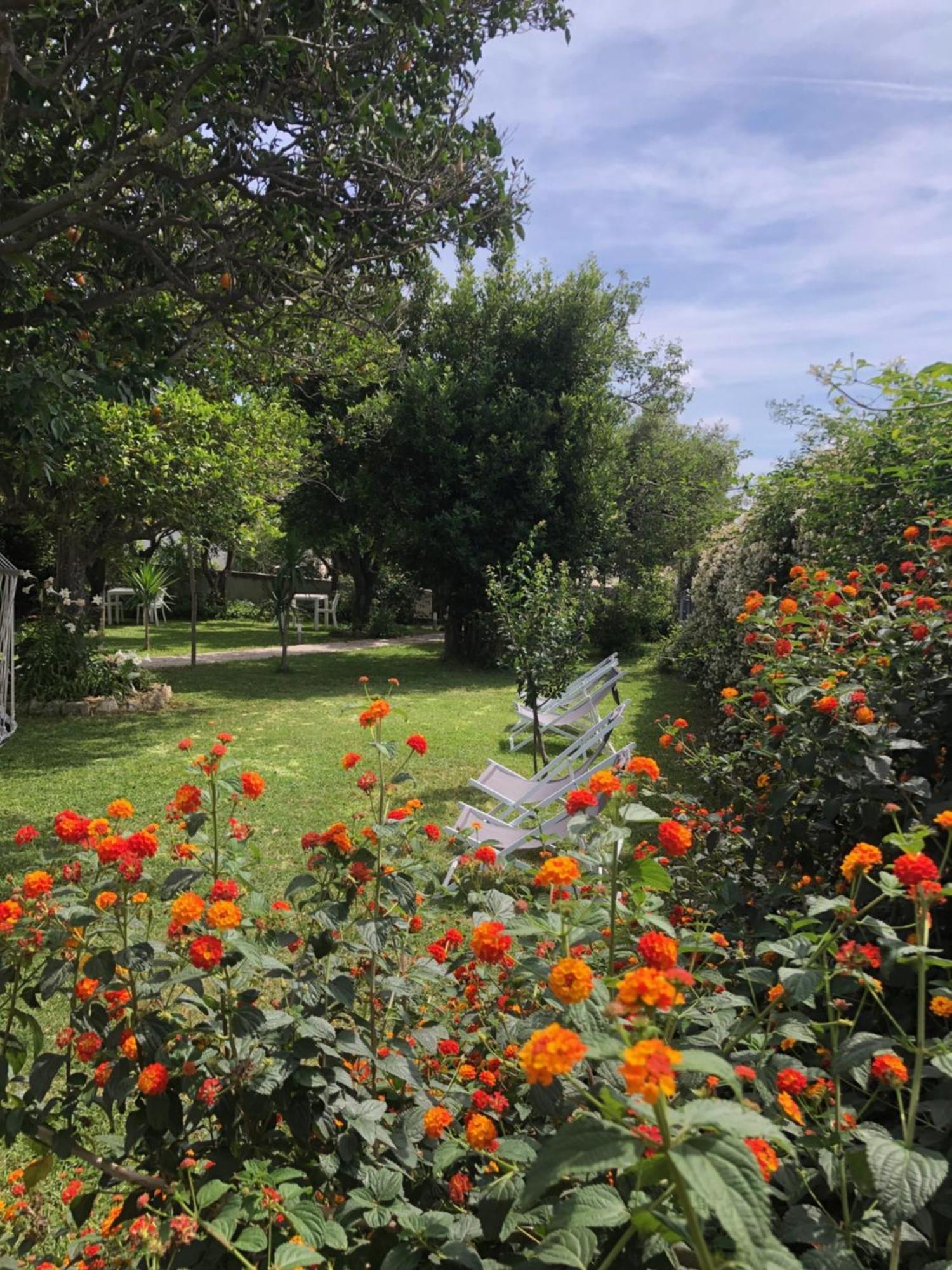 Villa Caterina B&B Прочида Экстерьер фото